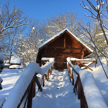 Guсulka Ksenia Villa โคซิฟ ภายนอก รูปภาพ
